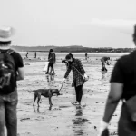 Quand célèbre-t-on la Journée mondiale de l’environnement et pourquoi ?