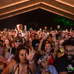 Comment la saison des festivals de musique évolue en 2024