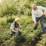 Comment le calendrier des semences peut-il influencer votre jardinage en 2025 ?