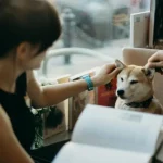 La Journée des animaux : initiatives à découvrir le 4 octobre 2024