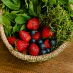 Les récoltes de printemps : traditions culinaires autour des légumes de saison.
