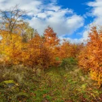 Quand a lieu la journée mondiale de la biodiversité en 2024 ?