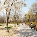 Quand est-ce que le printemps commence en 2025 selon le calendrier ?