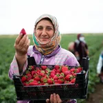 Quelle est la date de la journée mondiale de la femme rurale en 2024 ?